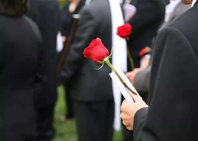 Osoba trzymająca czerwoną różę